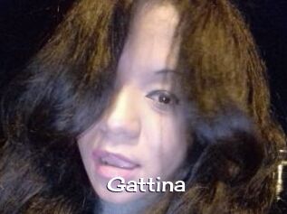 Gattina