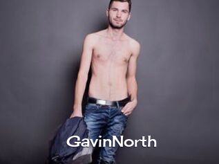 GavinNorth