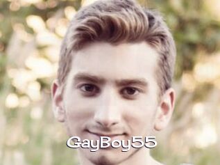 GayBoy55