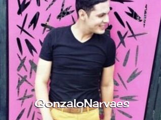 GonzaloNarvaes