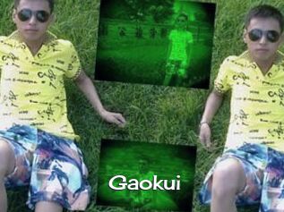 Gaokui