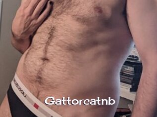Gattorcatnb