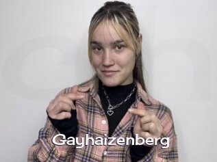 Gayhaizenberg