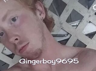 Gingerboy9695