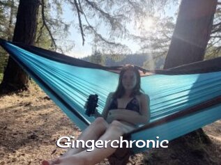 Gingerchronic