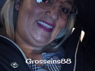 Grosseins88