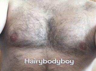 Hairybodyboy