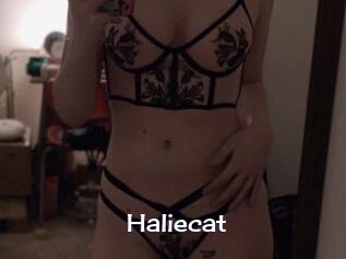 Haliecat