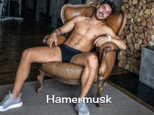 Hamermusk