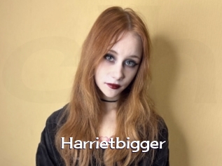 Harrietbigger