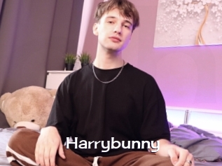 Harrybunny