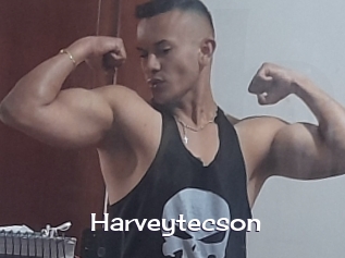 Harveytecson