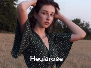 Heylarose