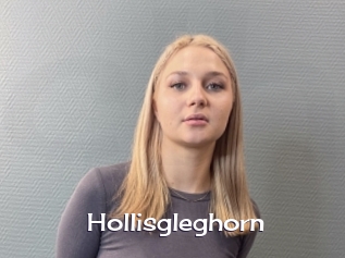 Hollisgleghorn