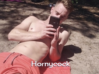 Hornycock