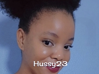 Hussy23