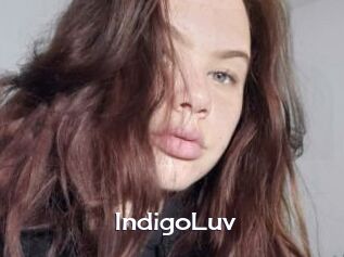 IndigoLuv