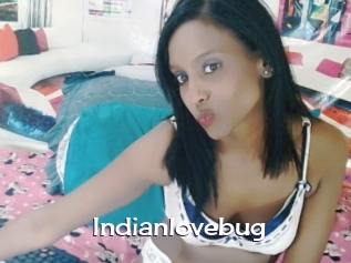 Indianlovebug