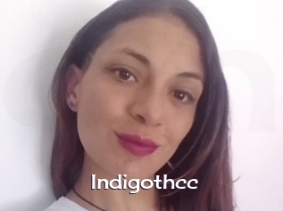 Indigothcc
