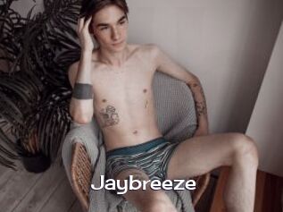 Jaybreeze