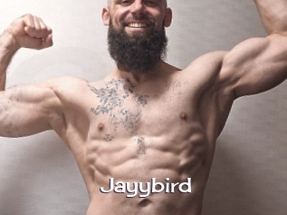 Jayybird