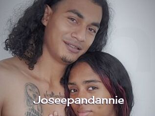 Joseepandannie