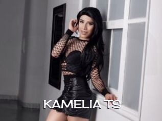 KAMELIA_TS