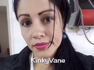 KinkyVane