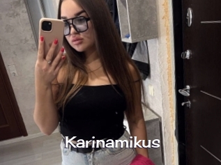 Karinamikus