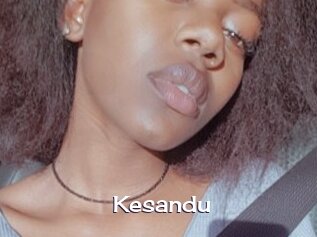 Kesandu