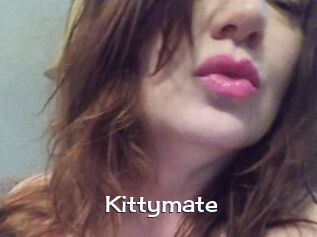 Kittymate