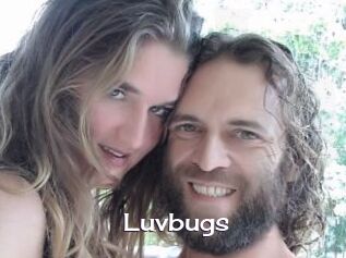 Luvbugs