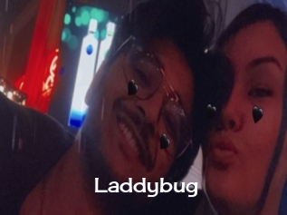 Laddybug