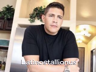 Latinostallionus