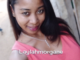 Laylahmorgane