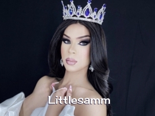 Littlesamm