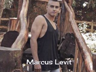 Marcus_Levit