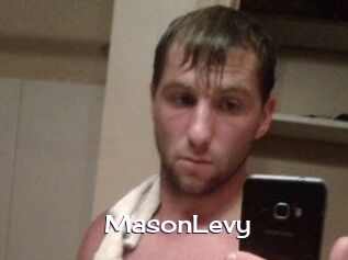Mason_Levy