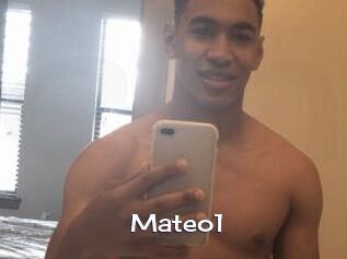 Mateo1