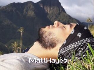 MattHayes