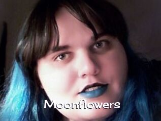 Moonflowers