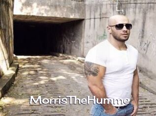 MorrisTheHumme