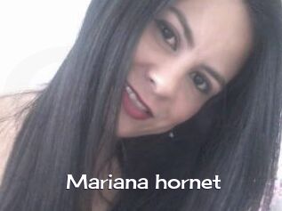 Mariana_hornet