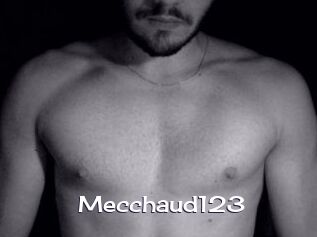 Mecchaud123