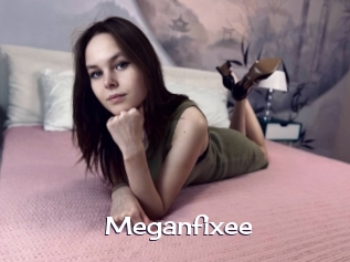 Meganfixee