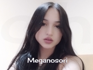 Meganosori