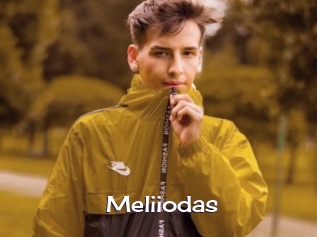 Meliiodas