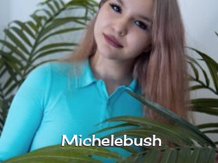 Michelebush