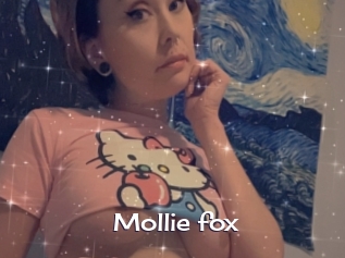 Mollie_fox