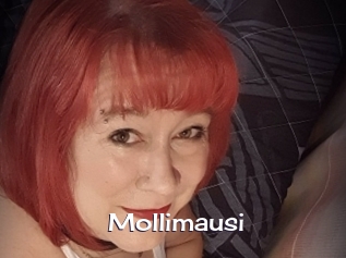 Mollimausi